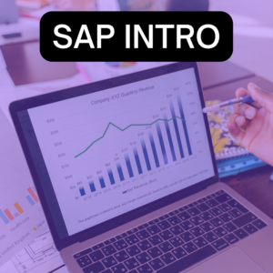 SAP INTRO